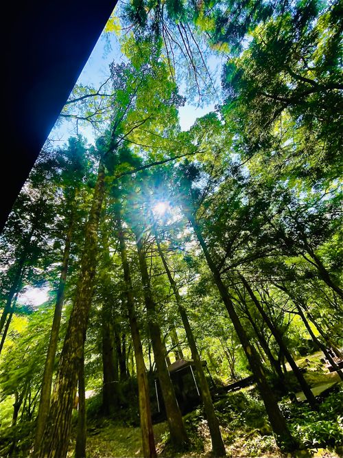 暑い夏に…涼を求めて…渓谷のキャンプ場へおじおばうさキャン△ in 匹見峡レストパーク 〜 CAMP NO.148 匹見峡レストパーク ファミリーキャンプ グループキャンプ 区画サイト おじキャン△さんのキャンプブログ CAMPiii（キャンピー） -キャンプ専用SNS キャンプのすべてがここに集まる-