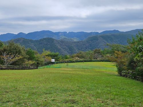 雲海キャンプ2025➁ 西山高原キャンプ場 ソロキャンプ 区画サイト オートサイト 三代目とっしぃさんのキャンプブログ CAMPiii(キャンピー) -キャンプ専用SNS キャンプのすべてがここに集まる-