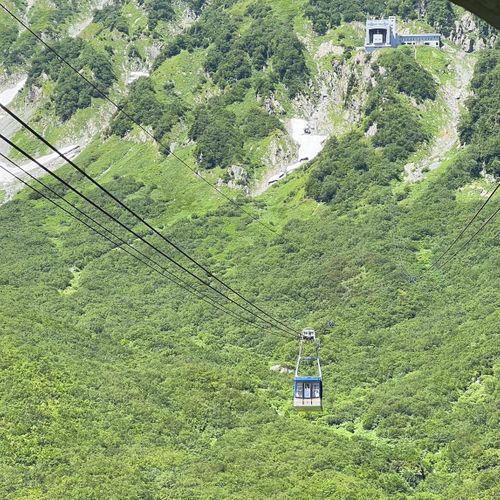 viva立山‼️ 雷鳥沢キャンプ場へ編 雷鳥沢キャンプ場 ソロキャンプ フリーサイト shuさんのキャンプブログ CAMPiii(キャンピー) -キャンプ専用SNS キャンプのすべてがここに集まる-