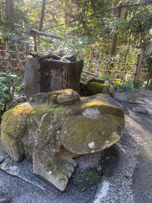 キャンプ納め🏕️初群馬県　juteキャンプフィールド！ JUTE CAMP FIELD（ジュートキャンプフィールド） ファミリーキャンプ 区画サイト マイティさんのキャンプブログ CAMPiii（キャンピー） -キャンプ専用SNS キャンプのすべてがここに集まる-