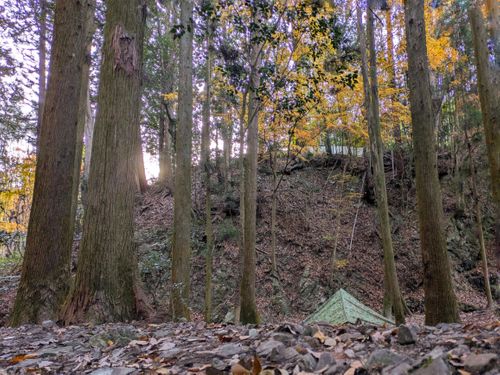 イチゴとイナゴとイチゴイチエ。 大阪府 ソロキャンプ オートサイト ぞのさんさんのキャンプブログ CAMPiii（キャンピー） -キャンプ専用SNS キャンプのすべてがここに集まる-