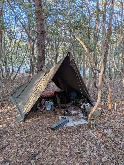 2026年4泊目 PICA富士西湖 ソロキャンプ グループキャンプ フリーサイト アニさんのキャンプブログ CAMPiii（キャンピー） -キャンプ専用SNS キャンプのすべてがここに集まる-