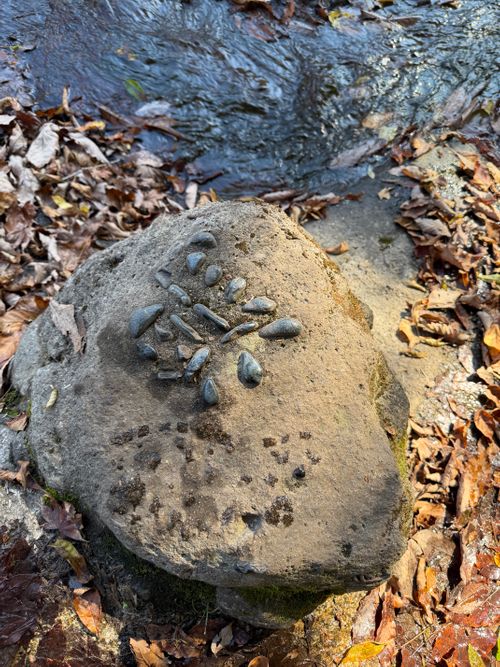 九州伊勢えびキャンプ@阿蘇レインボーバレーたる由縁🌈 阿蘇レインボーバレー グループキャンプ オートサイト ぐうたら夫婦さんのキャンプブログ CAMPiii（キャンピー） -キャンプ専用SNS キャンプのすべてがここに集まる-