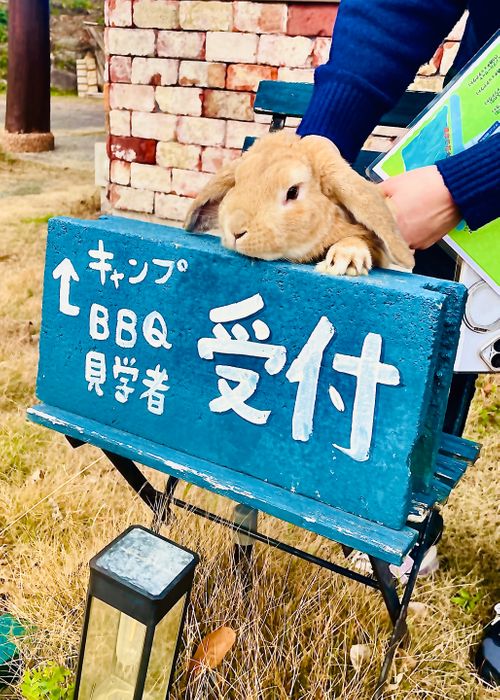 予定変更の行き当たりばったり？おじおばうさキャン△ in OHANA camp & bbq 〜 CAMP NO.172 御飯屋おはな ファミリーキャンプ グループキャンプ フリーサイト おじキャン△さんのキャンプブログ CAMPiii（キャンピー） -キャンプ専用SNS キャンプのすべてがここに集まる-