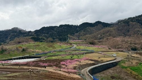 景色よき！アットホームな期間限定高規格キャンプ場 CLOUD-９ ソロキャンプ グループキャンプ 区画サイト Honey Bさんのキャンプブログ CAMPiii（キャンピー） -キャンプ専用SNS キャンプのすべてがここに集まる-