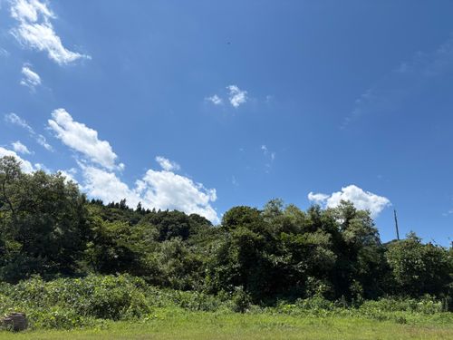 僕の夏休みー2025.8.14〜8.16ー キャンプグランド・ベアーベル ソロキャンプ フリーサイト ぱぱちょさんのキャンプブログ CAMPiii(キャンピー) -キャンプ専用SNS キャンプのすべてがここに集まる-