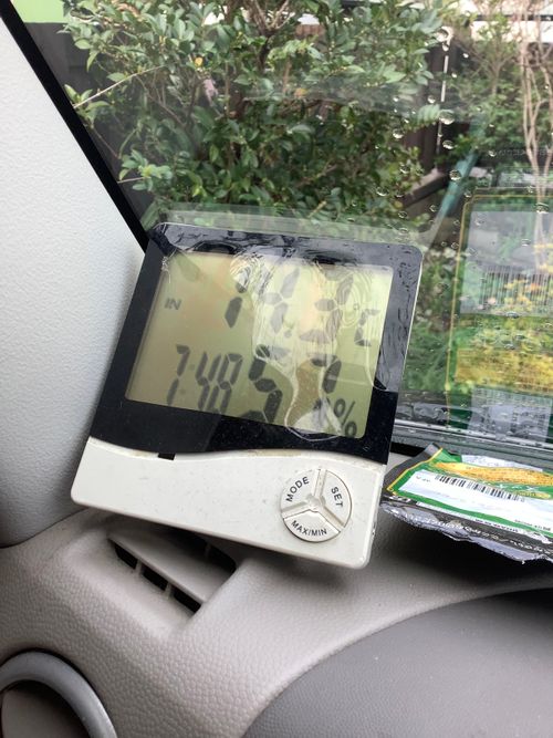 Vol.114 26/NO.04 お花見しながらお肉焼くぅ‼️ 坂戸市 ソロキャンプ フリーサイト 🔥焚き火🔥さんのキャンプブログ CAMPiii（キャンピー） -キャンプ専用SNS キャンプのすべてがここに集まる-