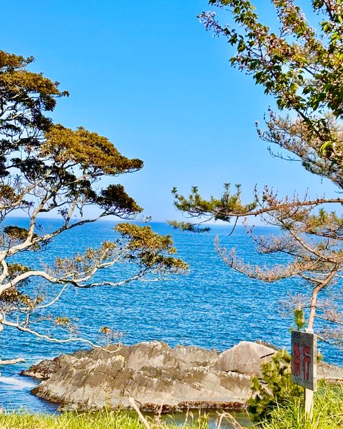 至れり尽くせり💕『お姫様』デイキャンプ 神割崎キャンプ場 Oniyomeさんのキャンプブログ CAMPiii（キャンピー） -キャンプ専用SNS キャンプのすべてがここに集まる-