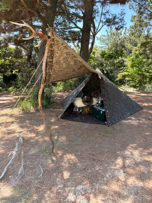 軍幕🪖浪漫野営 小松海岸 ソロキャンプ フリーサイト Camp 'n'g  Roll♪🏁さんのキャンプブログ CAMPiii（キャンピー） -キャンプ専用SNS キャンプのすべてがここに集まる-