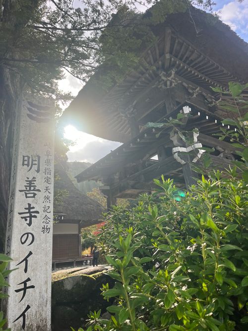 三連休とあらば、西を目指して…🚗💨 閑乗寺公園 キャンプ場 ソロキャンプ 区画サイト まっつんさんのキャンプブログ CAMPiii（キャンピー） -キャンプ専用SNS キャンプのすべてがここに集まる-