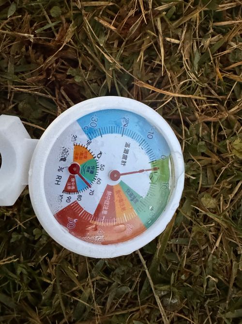 1年ぶりのこの地 陣馬形山キャンプ場 ソロキャンプ 区画サイト まっつんさんのキャンプブログ CAMPiii（キャンピー） -キャンプ専用SNS キャンプのすべてがここに集まる-