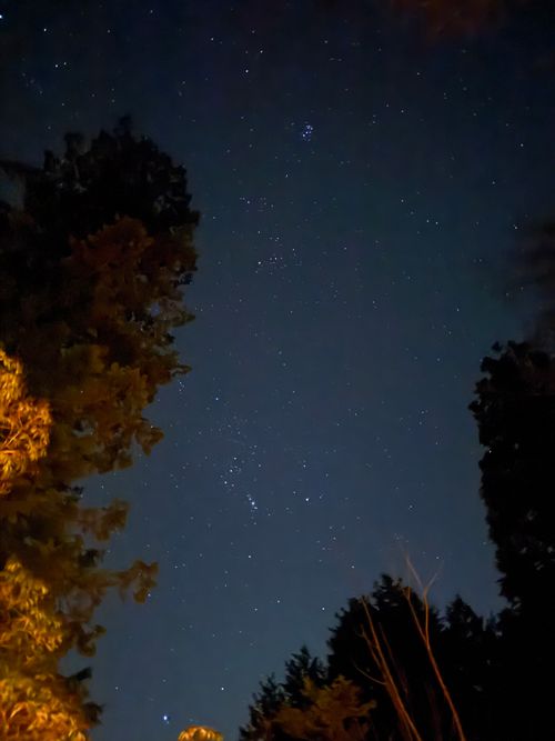 久しぶりの穏やかなキャンプ Foresters Village Kobitto あさぎりキャンプフィールド ソロキャンプ オートサイト 区画サイト ちはみなさんのキャンプブログ CAMPiii（キャンピー） -キャンプ専用SNS キャンプのすべてがここに集まる-