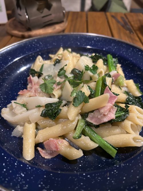 猫様と猫様に食われたパンと猫様に食われたパンを戴く下僕 大芦高原キャンプ場 ソロキャンプ フリーサイト おくさんさんのキャンプブログ CAMPiii（キャンピー） -キャンプ専用SNS キャンプのすべてがここに集まる-