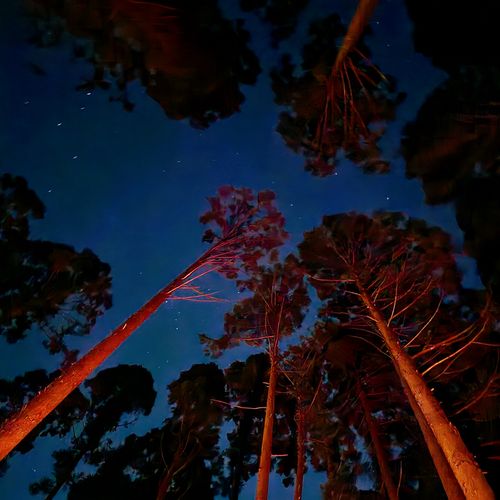 俺のあそびฅ(o&lsquo;ⓛ&rsquo;o)ฅ  見栄る魅れる三重られる‼️ 俺たちのキャンプ場 ソロキャンプ 区画サイト オートサイト くまくまさんのキャンプブログ CAMPiii（キャンピー） -キャンプ専用SNS キャンプのすべてがここに集まる-