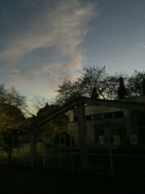 Vol.106 25/NO.25 坂戸にお肉焼きに行く‼️ 坂戸市 ソロキャンプ フリーサイト 🔥焚き火🔥さんのキャンプブログ CAMPiii(キャンピー) -キャンプ専用SNS キャンプのすべてがここに集まる-