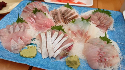 恒例の新春ファミキャン！ THE DOG DEPT GARDEN RESORT-安房白浜- ファミリーキャンプ グループキャンプ 区画サイト まーささんのキャンプブログ CAMPiii（キャンピー） -キャンプ専用SNS キャンプのすべてがここに集まる-