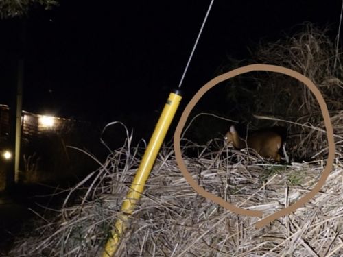 熊のいない県で2026年初キャンプ 〜お世話になったお礼の挨拶までは愉しいキャンプだった TAKIVILLAGE ソロキャンプ グループキャンプ フリーサイト オートサイト Honey Bさんのキャンプブログ CAMPiii（キャンピー） -キャンプ専用SNS キャンプのすべてがここに集まる-