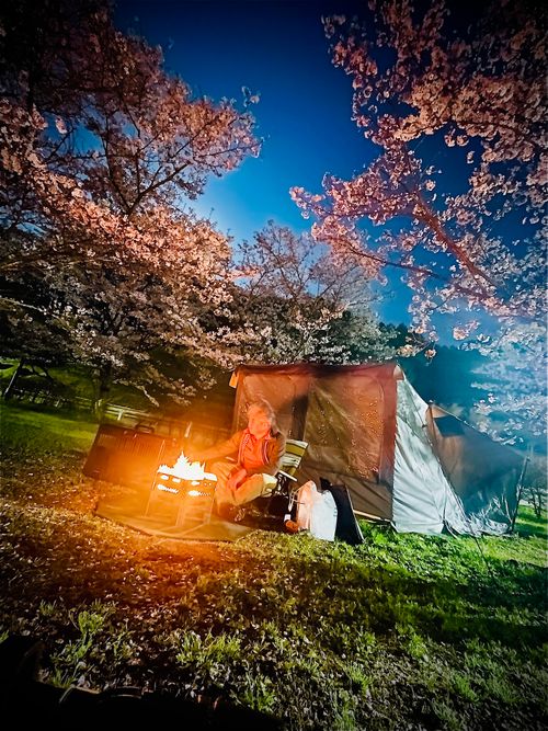 リベンジお花見🌸 & 新幕お試しおじうさキャン△ in 阿武川温泉公園 〜 CAMP NO.183 萩阿武川温泉公園（キャンプ可） ソロキャンプ ファミリーキャンプ フリーサイト おじキャン△さんのキャンプブログ CAMPiii（キャンピー） -キャンプ専用SNS キャンプのすべてがここに集まる-