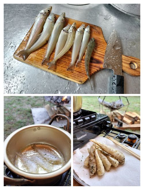 ソロで連泊釣りキャン 大淀西海岸ムーンビーチキャンプ場 ソロキャンプ フリーサイト オートサイト たかたかぽんたさんのキャンプブログ CAMPiii(キャンピー) -キャンプ専用SNS キャンプのすべてがここに集まる-