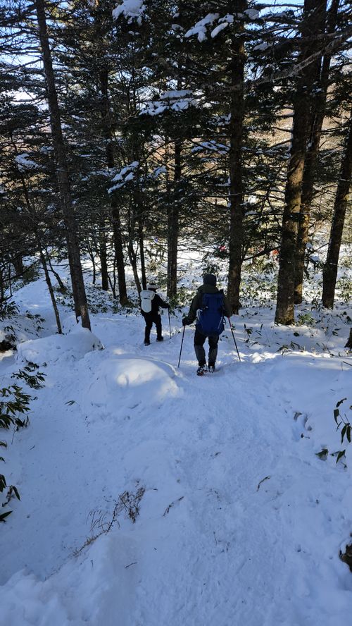 雪山登山車中泊 RVパーク ホテルスターらんど グループキャンプ ソロキャンプ 区画サイト オートサイト IZUIZUさんのキャンプブログ CAMPiii（キャンピー） -キャンプ専用SNS キャンプのすべてがここに集まる-