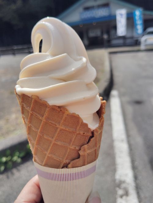 晴れた✨ 日光・まなかの森 キャンプ&スパリゾート ソロキャンプ 区画サイト しずさんのキャンプブログ CAMPiii(キャンピー) -キャンプ専用SNS キャンプのすべてがここに集まる-