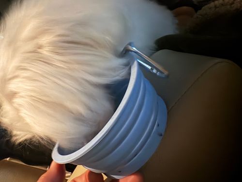 プロローグ　遠征の旅再始動！今回は中国地方に行ってきます〜 三重県 ソロキャンプ ちろ犬さんのキャンプブログ CAMPiii（キャンピー） -キャンプ専用SNS キャンプのすべてがここに集まる-