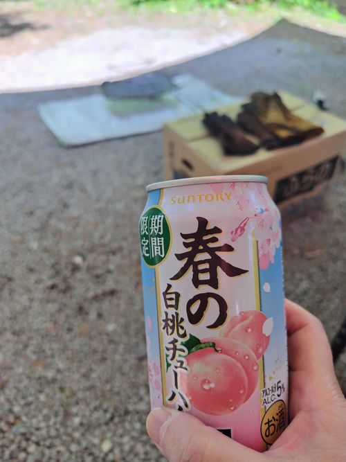 森林キャンプ⛺️ ファミリーキャンプ オートサイト 区画サイト セツさんのキャンプブログ CAMPiii（キャンピー） -キャンプ専用SNS キャンプのすべてがここに集まる-