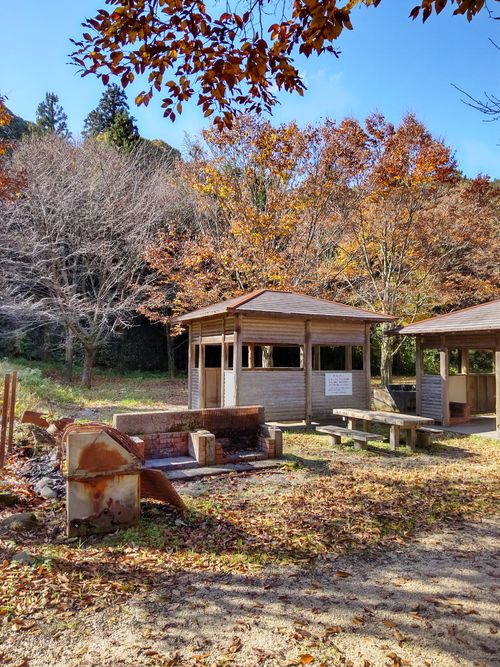 秋晴れカメムシ日和🤣 大父木地親水公園 ソロキャンプ グループキャンプ フリーサイト マッサンさんのキャンプブログ CAMPiii（キャンピー） -キャンプ専用SNS キャンプのすべてがここに集まる-