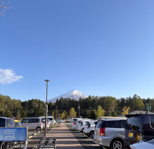 キャンプ解禁🎉＆乾杯🍻青木ヶ原樹海を歩く!? 「フラット登山」第2弾 DOTEKAGE CAMP GROUND 区画サイト Jimko☆さんのキャンプブログ CAMPiii（キャンピー） -キャンプ専用SNS キャンプのすべてがここに集まる-