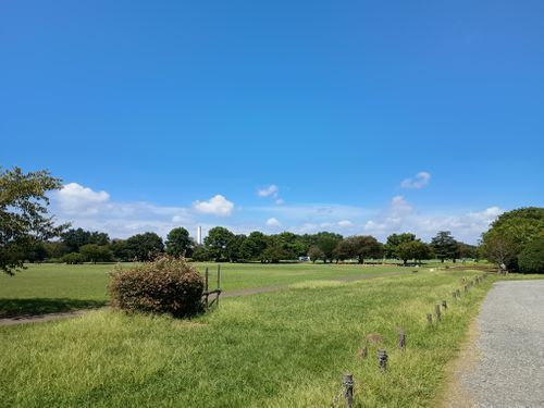 相模川付近の野営地下見Ride ウエィダーさんのキャンプブログ CAMPiii（キャンピー） -キャンプ専用SNS キャンプのすべてがここに集まる-
