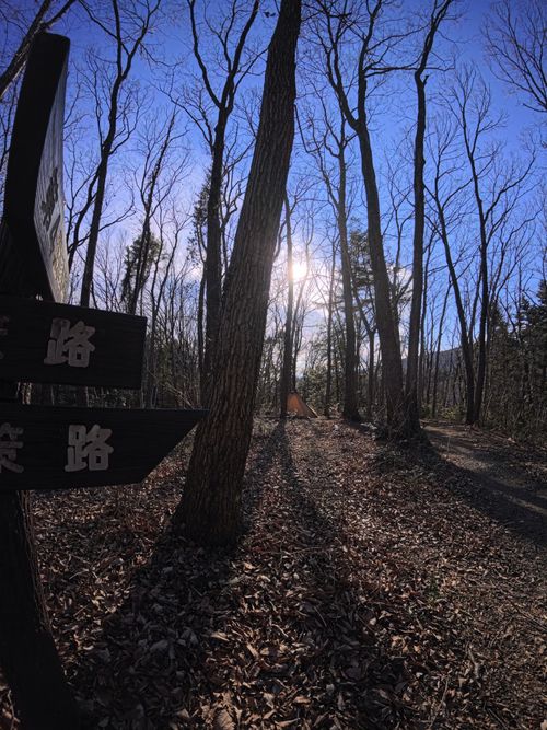 ソロ専用キャンプ場 越生町 ソロキャンプ フリーサイト りんしゃんさんのキャンプブログ CAMPiii（キャンピー） -キャンプ専用SNS キャンプのすべてがここに集まる-