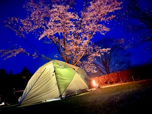 CAMPiii（キャンピー） akemi.09.02さんのキャンプブログ 2026.3.29〜30 ビラ・マイルド