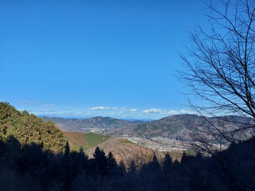 明けましておめでとうございます🎍年越しで狼さんに会いに行ったけどちとヘコんだキャンプ⛺ フォレストサンズ長瀞 ソロキャンプ 区画サイト ひろ16さんのキャンプブログ CAMPiii（キャンピー） -キャンプ専用SNS キャンプのすべてがここに集まる-