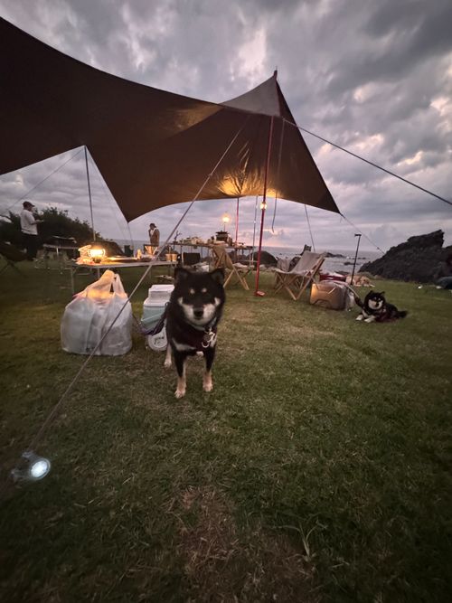 福井県の海沿いキャンプ オーシャンズ | オートキャンプ場・RVパーク・ドッグラン グループキャンプ 区画サイト OYAKATAさんのキャンプブログ CAMPiii(キャンピー) -キャンプ専用SNS キャンプのすべてがここに集まる-
