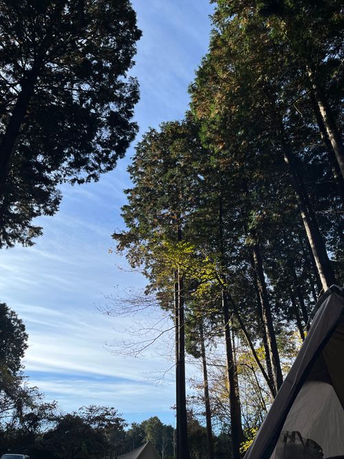 晴れ、富士 ACN 西富士オートキャンプ場 ファミリーキャンプ 区画サイト gamiさんのキャンプブログ CAMPiii（キャンピー） -キャンプ専用SNS キャンプのすべてがここに集まる-