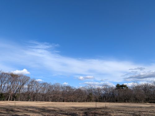 CAMPiii（キャンピー） 俺の酒場は野にあるさんのキャンプブログ 春の陽気に誘われて 那須たんぽぽ村キャンプ広場