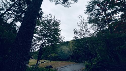 キャンプ梯子の旅② ふるさと村自然園 せいなの森キャンプ場 ソロキャンプ 区画サイト KABUTOさんのキャンプブログ CAMPiii(キャンピー) -キャンプ専用SNS キャンプのすべてがここに集まる-