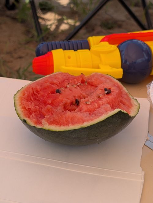 ワイルドバンチフェス行った→キワ・ラ・ビーチキャンプ泊。 キワ・ラ・ビーチ(岐波海水浴場) グループキャンプ フリーサイト ともっちさんのキャンプブログ CAMPiii(キャンピー) -キャンプ専用SNS キャンプのすべてがここに集まる-