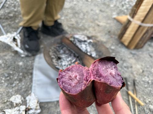 シーズンイン🏕️ moss camp field モス キャンプフィールド \ The Barn ザ バーン グループキャンプ 区画サイト オートサイト かとかとさんのキャンプブログ CAMPiii（キャンピー） -キャンプ専用SNS キャンプのすべてがここに集まる-