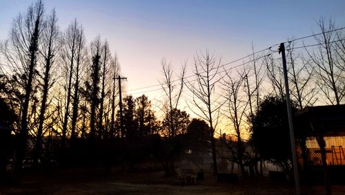 あけましておめでとうごニャイます！🐱（byまきお） ラピュタファームキャンプ場 グループキャンプ フリーサイト スローライフに憧れるさんのキャンプブログ CAMPiii（キャンピー） -キャンプ専用SNS キャンプのすべてがここに集まる-