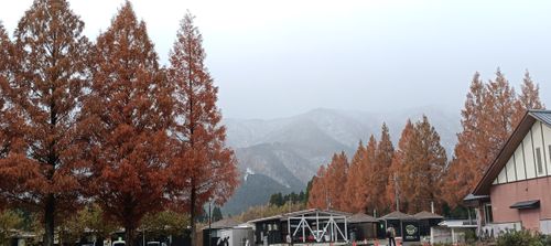 雪予報☃お籠りキャンプ予定が。。。ﾄﾎﾎ… 田園びより ファミリーキャンプ フリーサイト オートサイト 区画サイト sangさんのキャンプブログ CAMPiii（キャンピー） -キャンプ専用SNS キャンプのすべてがここに集まる-