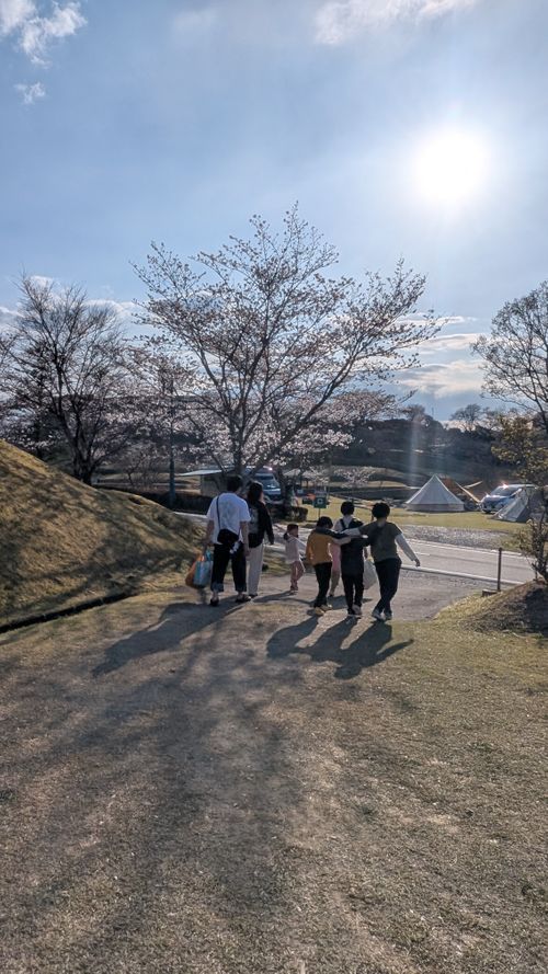 春の熊本でお花見ファミグル🌸🏕️🌸 ゆのまえグリーンパレス ファミリーキャンプ グループキャンプ 区画サイト オートサイト ヒゲキャンさんのキャンプブログ CAMPiii（キャンピー） -キャンプ専用SNS キャンプのすべてがここに集まる-