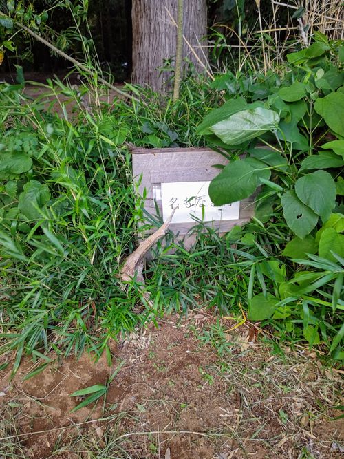 妖精の村へ 茨城県 ソロキャンプ 区画サイト やちさんのキャンプブログ CAMPiii(キャンピー) -キャンプ専用SNS キャンプのすべてがここに集まる-