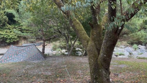 親子軍幕キャンプ〜夏休み〜 せせらぎの里 オートキャンプ場 ファミリーキャンプ 区画サイト Camp 'n'g  Roll♪🏁さんのキャンプブログ CAMPiii（キャンピー） -キャンプ専用SNS キャンプのすべてがここに集まる-
