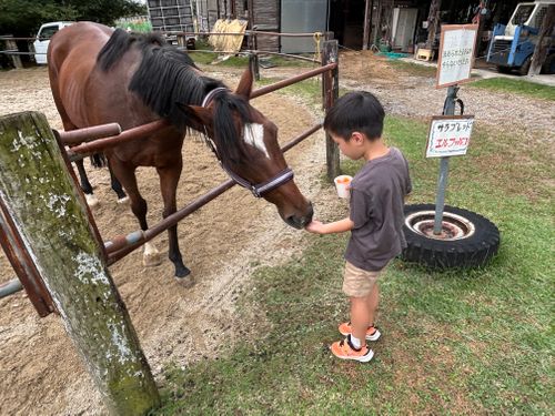 2泊3日の高原キャンプ 旭高原元気村 ファミリーキャンプ 区画サイト まつけんさんのキャンプブログ CAMPiii（キャンピー） -キャンプ専用SNS キャンプのすべてがここに集まる-