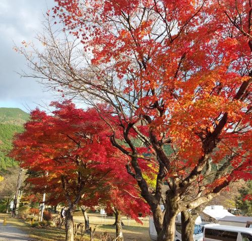 CAMPiii（キャンピー） こば  さんのキャンプブログ 初ストーブ🔥 くのわき親水公園キャンプ場