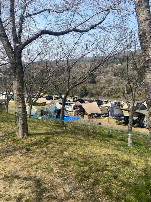 第16回キノコ会 笠置キャンプ場 グループキャンプ フリーサイト KINOKO_MUSTANGさんのキャンプブログ CAMPiii（キャンピー） -キャンプ専用SNS キャンプのすべてがここに集まる-