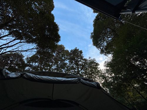 南伊豆のCampFantasea再び 南伊豆オートキャンプ場 CampFantasea ソロキャンプ 区画サイト オートサイト marpyさんのキャンプブログ CAMPiii（キャンピー） -キャンプ専用SNS キャンプのすべてがここに集まる-