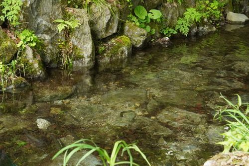 自然の魅力があふれっぱ 揖斐高原貝月リゾート ファミリーキャンプ オートサイト 区画サイト さおりさんのキャンプブログ CAMPiii（キャンピー） -キャンプ専用SNS キャンプのすべてがここに集まる-