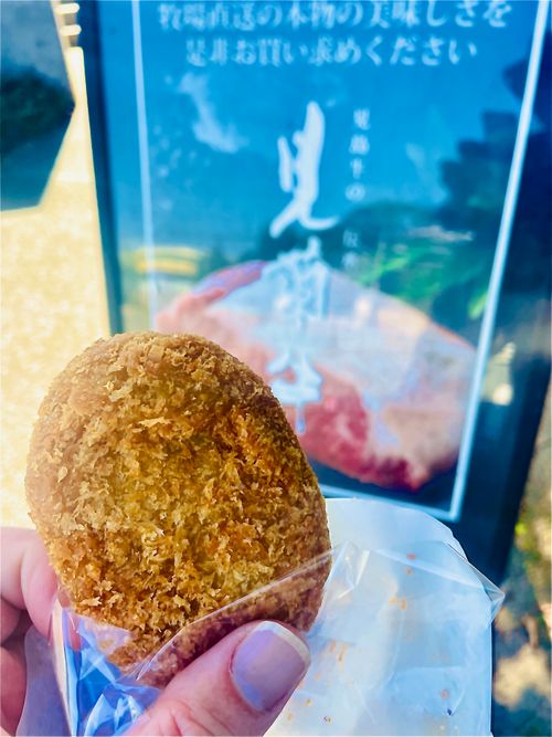 待望の晴れ晴れ☀️おじおばうさキャン△ in 阿武川温泉公園キャンプ場 〜 CAMP NO.155 萩阿武川温泉公園(キャンプ可) ファミリーキャンプ グループキャンプ フリーサイト おじキャン△さんのキャンプブログ CAMPiii(キャンピー) -キャンプ専用SNS キャンプのすべてがここに集まる-